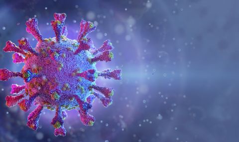Защо не всички ваксинирани изграждат антитела 5 https://netnews.bg/wp-content/uploads/2021/06/d0b7d0b0d189d0be-d0bdd0b5-d0b2d181d0b8d187d0bad0b8-d0b2d0b0d0bad181d0b8d0bdd0b8d180d0b0d0bdd0b8-d0b8d0b7d0b3d180d0b0d0b6d0b4d0b0d182.jpg d0b7d0b0d189d0be d0bdd0b5 d0b2d181d0b8d187d0bad0b8 d0b2d0b0d0bad181d0b8d0bdd0b8d180d0b0d0bdd0b8 d0b8d0b7d0b3d180d0b0d0b6d0b4d0b0d182 https://netnews.bg/wp-content/uploads/2021/06/d0b7d0b0d189d0be-d0bdd0b5-d0b2d181d0b8d187d0bad0b8-d0b2d0b0d0bad181d0b8d0bdd0b8d180d0b0d0bdd0b8-d0b8d0b7d0b3d180d0b0d0b6d0b4d0b0d182.jpg