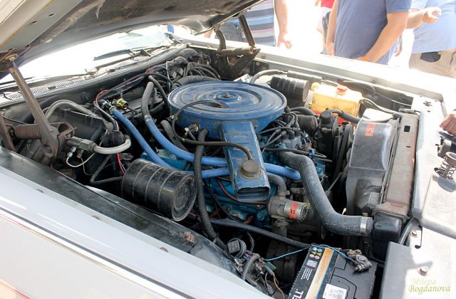 Над 350 невероятни автомобила в центъра на София (СНИМКИ) 31 https://netnews.bg/wp-content/uploads/2021/06/d0bdd0b0d0b4-350-d0bdd0b5d0b2d0b5d180d0bed18fd182d0bdd0b8-d0b0d0b2d182d0bed0bcd0bed0b1d0b8d0bbd0b0-d0b2-d186d0b5d0bdd182d18ad180d0b0.jpg d0bdd0b0d0b4 350 d0bdd0b5d0b2d0b5d180d0bed18fd182d0bdd0b8 d0b0d0b2d182d0bed0bcd0bed0b1d0b8d0bbd0b0 d0b2 d186d0b5d0bdd182d18ad180d0b0 29 https://netnews.bg/wp-content/uploads/2021/06/d0bdd0b0d0b4-350-d0bdd0b5d0b2d0b5d180d0bed18fd182d0bdd0b8-d0b0d0b2d182d0bed0bcd0bed0b1d0b8d0bbd0b0-d0b2-d186d0b5d0bdd182d18ad180d0b0.jpg