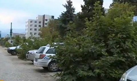 Масова сеч на млади дървета в голям град 2 https://netnews.bg/wp-content/uploads/2021/09/d0bcd0b0d181d0bed0b2d0b0-d181d0b5d187-d0bdd0b0-d0bcd0bbd0b0d0b4d0b8-d0b4d18ad180d0b2d0b5d182d0b0-d0b2-d0b3d0bed0bbd18fd0bc-d0b3d180d0b0.jpg d0bcd0b0d181d0bed0b2d0b0 d181d0b5d187 d0bdd0b0 d0bcd0bbd0b0d0b4d0b8 d0b4d18ad180d0b2d0b5d182d0b0 d0b2 d0b3d0bed0bbd18fd0bc d0b3d180d0b0 https://netnews.bg/wp-content/uploads/2021/09/d0bcd0b0d181d0bed0b2d0b0-d181d0b5d187-d0bdd0b0-d0bcd0bbd0b0d0b4d0b8-d0b4d18ad180d0b2d0b5d182d0b0-d0b2-d0b3d0bed0bbd18fd0bc-d0b3d180d0b0.jpg