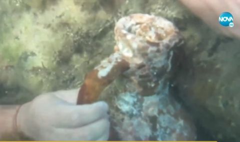 Морски находки от 6 експедиции показват в Бургас 5 https://netnews.bg/wp-content/uploads/2021/09/d0bcd0bed180d181d0bad0b8-d0bdd0b0d185d0bed0b4d0bad0b8-d0bed182-6-d0b5d0bad181d0bfd0b5d0b4d0b8d186d0b8d0b8-d0bfd0bed0bad0b0d0b7d0b2d0b0.jpg d0bcd0bed180d181d0bad0b8 d0bdd0b0d185d0bed0b4d0bad0b8 d0bed182 6 d0b5d0bad181d0bfd0b5d0b4d0b8d186d0b8d0b8 d0bfd0bed0bad0b0d0b7d0b2d0b0 https://netnews.bg/wp-content/uploads/2021/09/d0bcd0bed180d181d0bad0b8-d0bdd0b0d185d0bed0b4d0bad0b8-d0bed182-6-d0b5d0bad181d0bfd0b5d0b4d0b8d186d0b8d0b8-d0bfd0bed0bad0b0d0b7d0b2d0b0.jpg