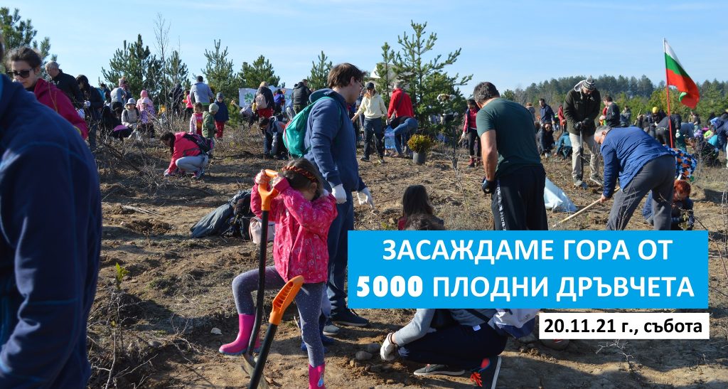 Заедно за гората https://netnews.bg/wp-content/uploads/2021/11/Заедно-за-гората.jpg