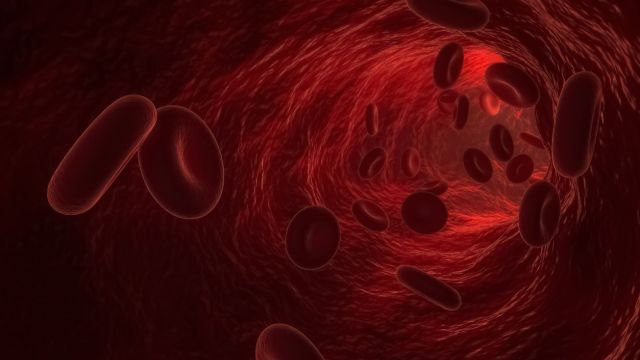 Учени откриха естествената аларма на тялото при тежка загуба на кръв