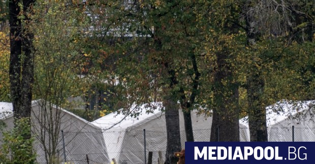 Австрия няма да вдига ветото за Шенген, докато търсещите убежище не спаднат трайно 2 https://netnews.bg/wp-content/uploads/2023/04/d0b0d0b2d181d182d180d0b8d18f-d0bdd18fd0bcd0b0-d0b4d0b0-d0b2d0b4d0b8d0b3d0b0-d0b2d0b5d182d0bed182d0be-d0b7d0b0-d188d0b5d0bdd0b3d0b5d0bd.jpg d0b0d0b2d181d182d180d0b8d18f d0bdd18fd0bcd0b0 d0b4d0b0 d0b2d0b4d0b8d0b3d0b0 d0b2d0b5d182d0bed182d0be d0b7d0b0 d188d0b5d0bdd0b3d0b5d0bd https://netnews.bg/wp-content/uploads/2023/04/d0b0d0b2d181d182d180d0b8d18f-d0bdd18fd0bcd0b0-d0b4d0b0-d0b2d0b4d0b8d0b3d0b0-d0b2d0b5d182d0bed182d0be-d0b7d0b0-d188d0b5d0bdd0b3d0b5d0bd.jpg