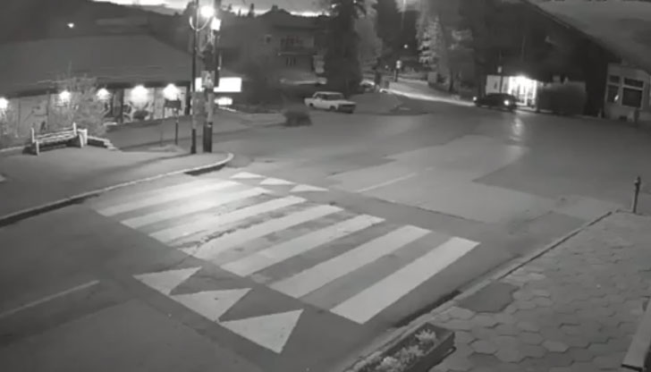 Мечка се разходи в София 1 https://netnews.bg/wp-content/uploads/2023/05/d0bcd0b5d187d0bad0b0-d181d0b5-d180d0b0d0b7d185d0bed0b4d0b8-d0b2-d181d0bed184d0b8d18f.jpg d0bcd0b5d187d0bad0b0 d181d0b5 d180d0b0d0b7d185d0bed0b4d0b8 d0b2 d181d0bed184d0b8d18f https://netnews.bg/wp-content/uploads/2023/05/d0bcd0b5d187d0bad0b0-d181d0b5-d180d0b0d0b7d185d0bed0b4d0b8-d0b2-d181d0bed184d0b8d18f.jpg