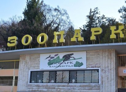 Пет мъртви кошути и елени са открити в благоевградския зоопарк 7 https://netnews.bg/wp-content/uploads/2023/10/d0bfd0b5d182-d0bcd18ad180d182d0b2d0b8-d0bad0bed188d183d182d0b8-d0b8-d0b5d0bbd0b5d0bdd0b8-d181d0b0-d0bed182d0bad180d0b8d182d0b8-d0b2-d0b1-2.jpg d0bfd0b5d182 d0bcd18ad180d182d0b2d0b8 d0bad0bed188d183d182d0b8 d0b8 d0b5d0bbd0b5d0bdd0b8 d181d0b0 d0bed182d0bad180d0b8d182d0b8 d0b2 d0b1 2 https://netnews.bg/wp-content/uploads/2023/10/d0bfd0b5d182-d0bcd18ad180d182d0b2d0b8-d0bad0bed188d183d182d0b8-d0b8-d0b5d0bbd0b5d0bdd0b8-d181d0b0-d0bed182d0bad180d0b8d182d0b8-d0b2-d0b1-2.jpg