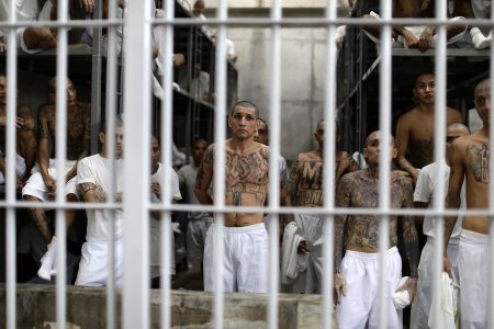 403 бандитски лидери в Салвадор остават в ареста до догодина 1 https://netnews.bg/wp-content/uploads/2024/02/403-d0b1d0b0d0bdd0b4d0b8d182d181d0bad0b8-d0bbd0b8d0b4d0b5d180d0b8-d0b2-d181d0b0d0bbd0b2d0b0d0b4d0bed180-d0bed181d182d0b0d0b2d0b0d182-2.jpg 403 d0b1d0b0d0bdd0b4d0b8d182d181d0bad0b8 d0bbd0b8d0b4d0b5d180d0b8 d0b2 d181d0b0d0bbd0b2d0b0d0b4d0bed180 d0bed181d182d0b0d0b2d0b0d182 2 https://netnews.bg/wp-content/uploads/2024/02/403-d0b1d0b0d0bdd0b4d0b8d182d181d0bad0b8-d0bbd0b8d0b4d0b5d180d0b8-d0b2-d181d0b0d0bbd0b2d0b0d0b4d0bed180-d0bed181d182d0b0d0b2d0b0d182-2.jpg