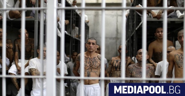 403 бандитски лидери в Салвадор остават в ареста до догодина 2 https://netnews.bg/wp-content/uploads/2024/02/403-d0b1d0b0d0bdd0b4d0b8d182d181d0bad0b8-d0bbd0b8d0b4d0b5d180d0b8-d0b2-d181d0b0d0bbd0b2d0b0d0b4d0bed180-d0bed181d182d0b0d0b2d0b0d182-2.jpg 403 d0b1d0b0d0bdd0b4d0b8d182d181d0bad0b8 d0bbd0b8d0b4d0b5d180d0b8 d0b2 d181d0b0d0bbd0b2d0b0d0b4d0bed180 d0bed181d182d0b0d0b2d0b0d182 https://netnews.bg/wp-content/uploads/2024/02/403-d0b1d0b0d0bdd0b4d0b8d182d181d0bad0b8-d0bbd0b8d0b4d0b5d180d0b8-d0b2-d181d0b0d0bbd0b2d0b0d0b4d0bed180-d0bed181d182d0b0d0b2d0b0d182-2.jpg