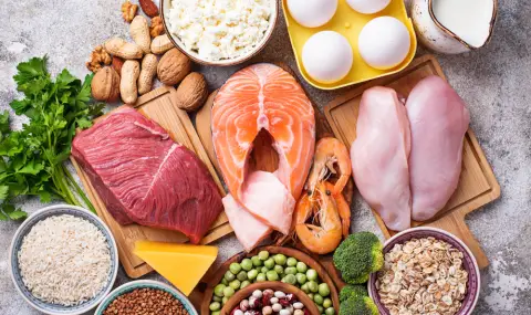 10-те най богати на протеини храни за хора със заседнал начин на живот
