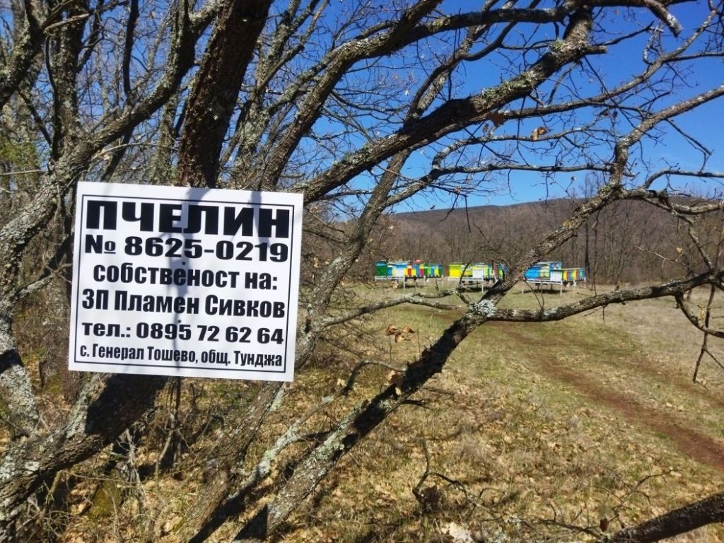 medna ferma sivkovi yambolsko 3 https://netnews.bg/wp-content/uploads/2024/04/pchelna-ferma-sivkovi-yambolsko-kolazh.png