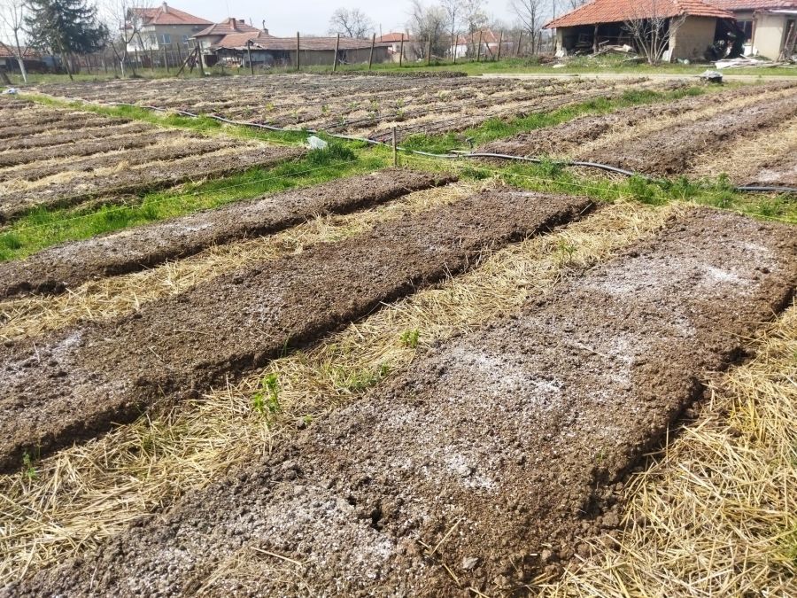 nordig ferma s hanovo obsthina tundzha oblast yambol 10 https://netnews.bg/wp-content/uploads/2024/04/nordig-ferma-s-hanovo-obsthina-tundzha-oblast-yambol-1-1.jpg