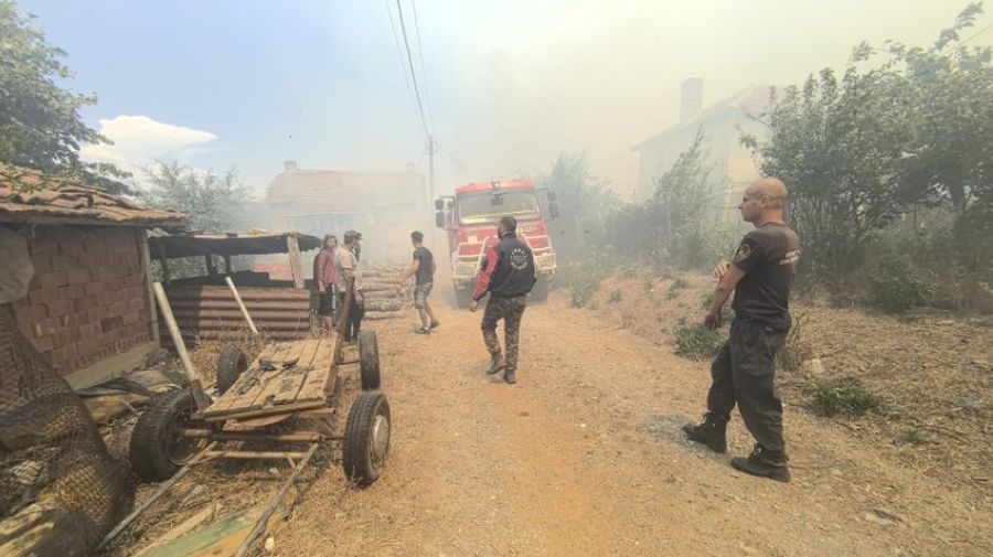 pozhar voden yambolsko 1 https://netnews.bg/wp-content/uploads/2024/07/pozhar-voden-yambolsko-3.jpg