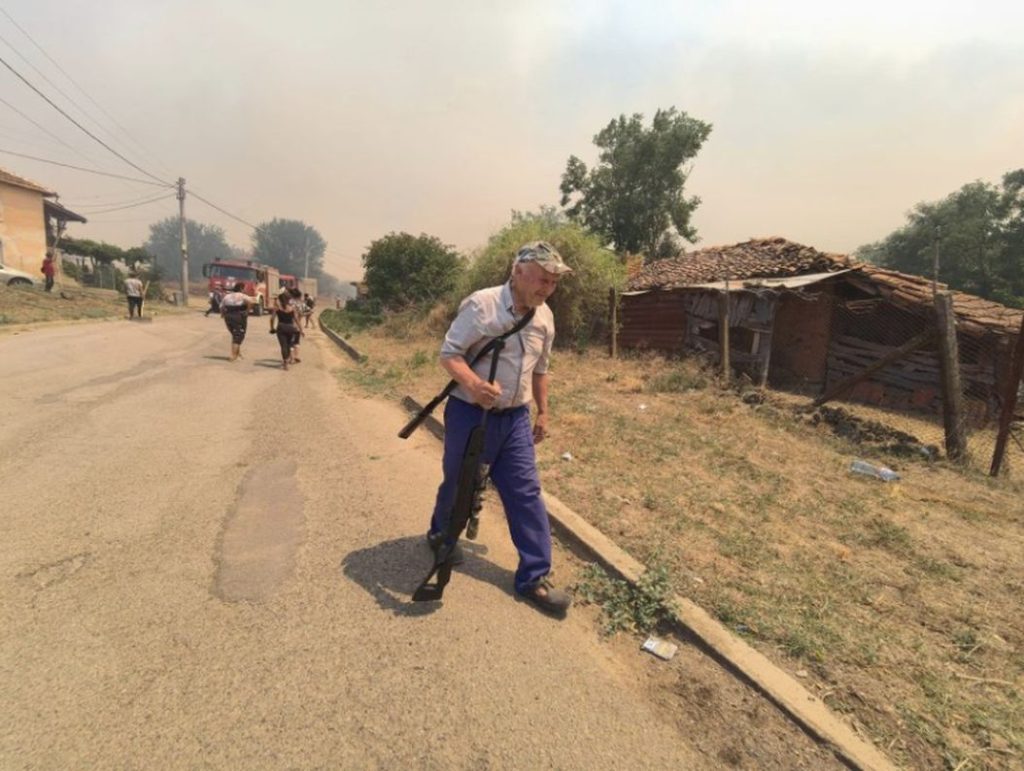 pozhar voden yambolsko 2 https://netnews.bg/wp-content/uploads/2024/07/pozhar-voden-yambolsko-3.jpg