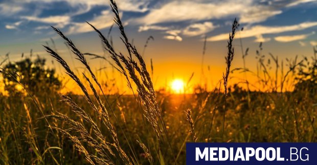 Пшеницата поскъпва в САЩ и Франция и поевтинява в региона на Черно море 2 https://netnews.bg/wp-content/uploads/2024/09/psheniczata-poskapva-v-sasth-i-francziya-i-poevtinyava-v-regiona-na-cherno-more-2.jpg psheniczata poskapva v sasth i francziya i poevtinyava v regiona na cherno more https://netnews.bg/wp-content/uploads/2024/09/psheniczata-poskapva-v-sasth-i-francziya-i-poevtinyava-v-regiona-na-cherno-more-2.jpg