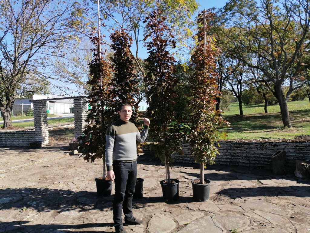 462534317 508160865423225 3145452261030428252 n https://netnews.bg/wp-content/uploads/2024/10/image-38.png