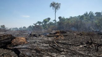 samo hrastalaczi amazonskata tropicheska gora e blizo do kritichna tochka 2 https://netnews.bg/wp-content/uploads/2024/10/samo-hrastalaczi-amazonskata-tropicheska-gora-e-blizo-do-kritichna-tochka-2.jpg