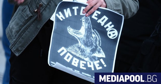 borba s agresiyata vkasthi na hartiya nyama gi 450 hil lv predvideni za prevencziya https://netnews.bg/wp-content/uploads/2024/12/borba-s-agresiyata-vkasthi-na-hartiya-nyama-gi-450-hil-lv-predvideni-za-prevencziya-2.jpg