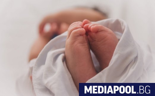 prokuraturata ne otkri prestaplenie v sluchaya na tanczuvasthite s bebeta akusherki https://netnews.bg/wp-content/uploads/2025/02/prokuraturata-ne-otkri-prestaplenie-v-sluchaya-na-tanczuvasthite-s-bebeta-akusherki-2.jpg