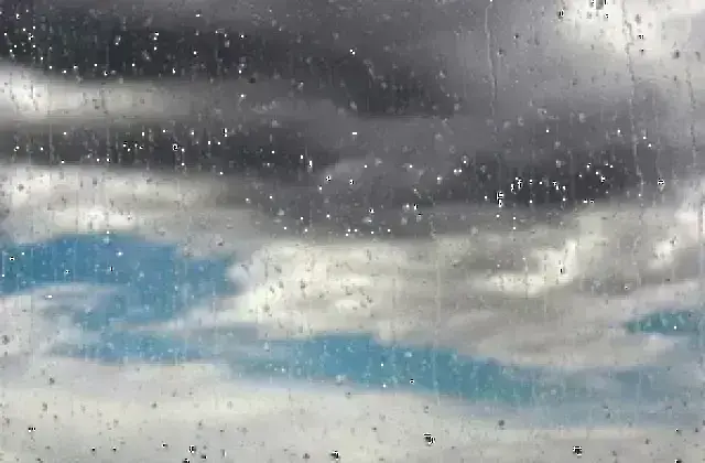 image 28 https://netnews.bg/wp-content/uploads/2025/10/image-28.png