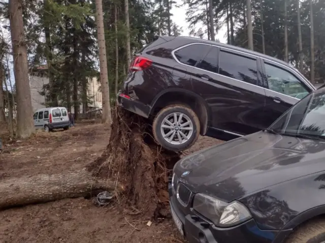 silniat vatar prekarshi borove v kurorta borovec zadeistvana e i sistemata bg alert snimki 1 https://netnews.bg/wp-content/uploads/2026/01/silniat-vatar-prekarshi-borove-v-kurorta-borovec-zadeistvana-e-i-sistemata-bg-alert-snimki-2.webp