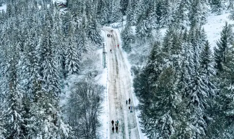 stolichnata obshtina podobrava organizaciata na dvijenieto po patishtata na vitosha 1 https://netnews.bg/wp-content/uploads/2026/03/stolichnata-obshtina-podobrava-organizaciata-na-dvijenieto-po-patishtata-na-vitosha-1.webp