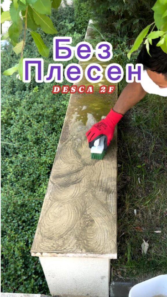 02 stone cleaning https://netnews.bg/wp-content/uploads/2026/05/collage-1-2.jpg