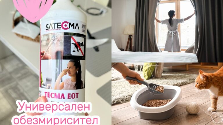 Миризма от котка, куче, цигари или хотелска стая? Запознайте се с TECMA EOT — испанският препарат, който разгражда миризмите вместо да ги маскира