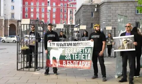 Затвор за бебета: Жестокостта, която България трябва да забрави