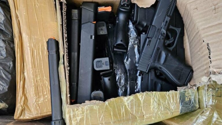 Оръжеен арсенал под прикритието на бои: Голям удар на митничарите в Лесово
